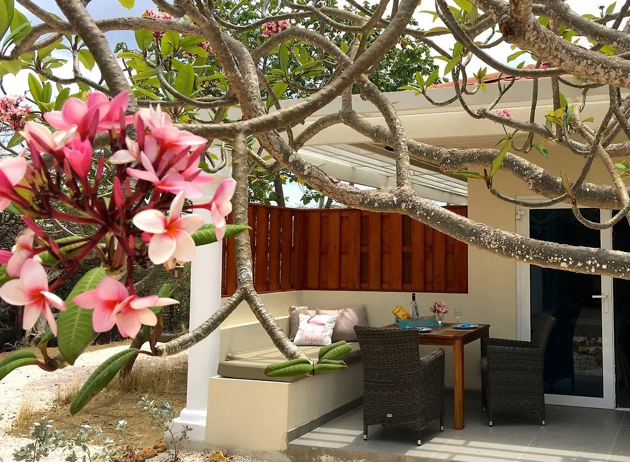 Kas Amigu Accomodations Willibrordus Lodge
